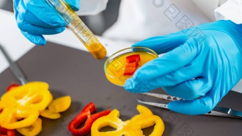 进口食品批发货源平台：揭秘优缺点与选择之道